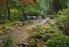 A rocky clearing in foggy woods, with a flagstone path built out of large rectangular flagstones. Moss and plants grow around the base of piled rocks.